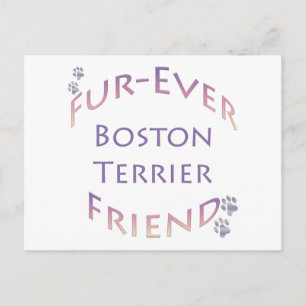 Boston Terrier Furever Vykort