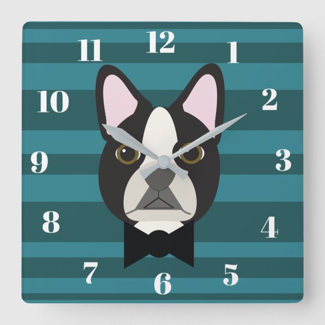 Boston Terrier Fyrkantig Klocka (Framsida)