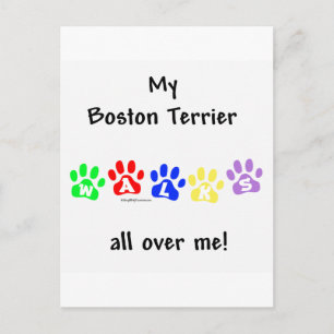 Boston Terrier går över mig Vykort