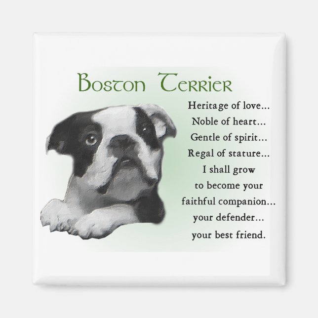 Boston Terrier Gifts Magnet (Framsidan)