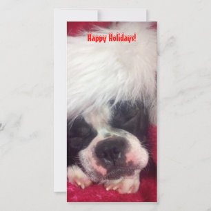 Boston Terrier Glad Jul Fotokort Julkort