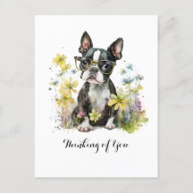 Boston Terrier Glasses Blommigt Thinking of You