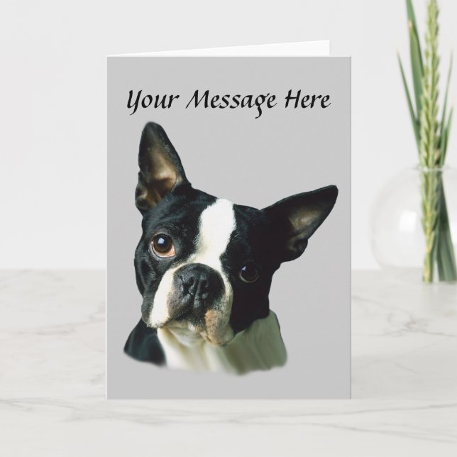 Boston Terrier Greeting Card Helgkort (Framsida)