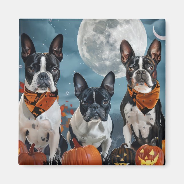 boston terrier Halloween Kuslig Magnet (Framsidan)