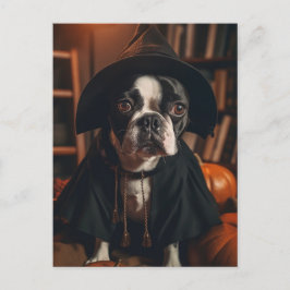 Boston Terrier Halloween Vykort