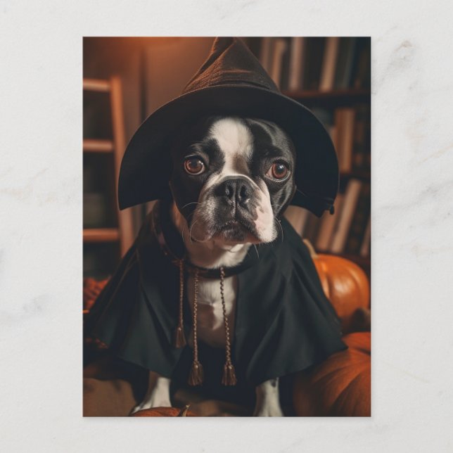 Boston Terrier Halloween Vykort (Framsida)