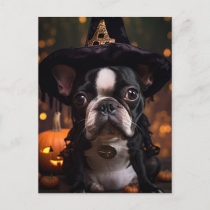 Boston Terrier Halloween Vykort