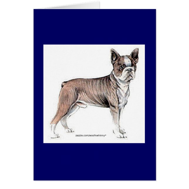 Boston Terrier Hälsningskort (Framsidan)