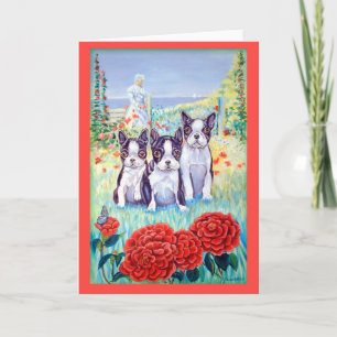 Boston Terrier-hälsningskort Kort