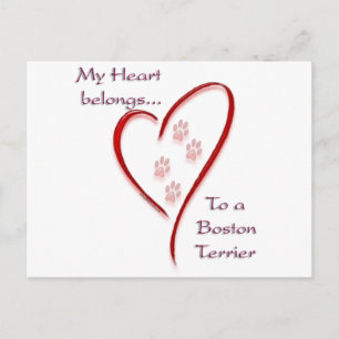 Boston Terrier Heart Tillhörs Vykort