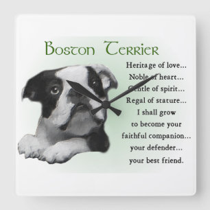 Boston Terrier Heritage of Kärlek Fyrkantig Klocka