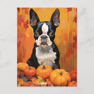 Boston Terrier Höst Tacksgiving Vykort