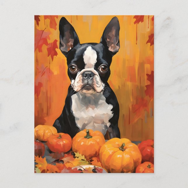 Boston Terrier Höst Tacksgiving  Vykort (Framsida)