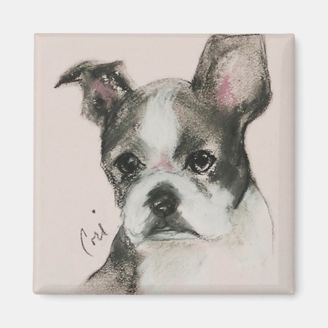 Boston Terrier Hund Art Magnet (Framsidan)