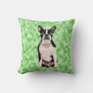 Boston Terrier Hund Art Porträtt Kudde
