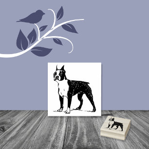 Boston Terrier Hund aveln Stämpel