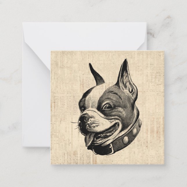 Boston Terrier Hund Cute Pet Hund Antique Art Anteckningskort (Framsida)