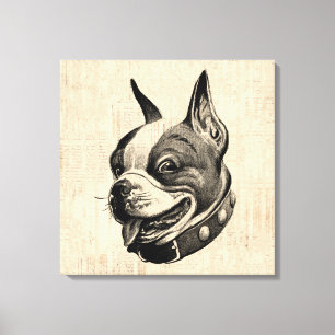 Boston Terrier Hund Cute Pet Hund Antique Art Canvastryck