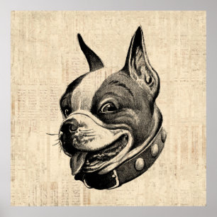 Boston Terrier Hund Cute Pet Hund Antique Art Poster
