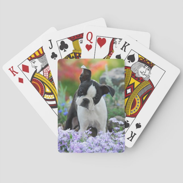 Boston Terrier Hund Cute Puppy i Blommor - Casinokort (Baksidan)