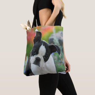 Boston Terrier Hund Cute Puppy Porträtt - Shopper Tygkasse