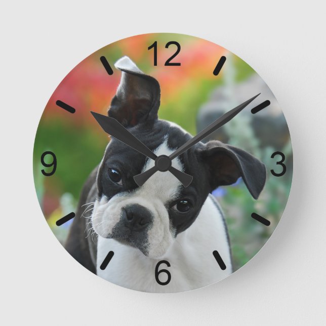 Boston Terrier Hund Cute Puppy Porträtt, uppringni Rund Klocka (Framsida)