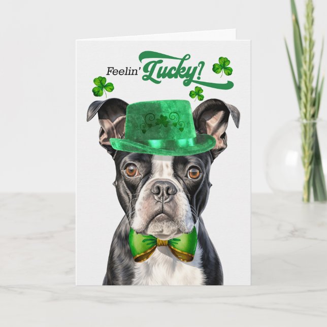 Boston Terrier Hund Feelin' Lucky St patrick's day Helgkort (Framsida)