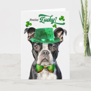 Boston Terrier Hund Feelin' Lucky St patrick's day Helgkort