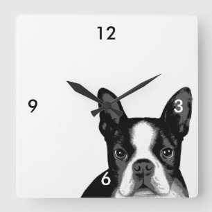 Boston Terrier, Hund Fyrkantig Klocka