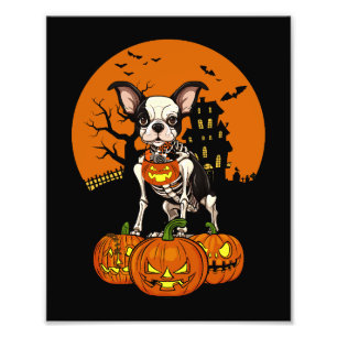 Boston Terrier Hund Halloween Fototryck