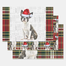 Boston Terrier Hund Helgdag Play jul