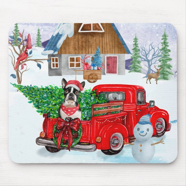 Boston Terrier hund i jul leverans lastbil Musmatta (Framsidan)