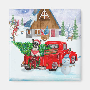 Boston Terrier hund i julleveransen Lastbil Magnet