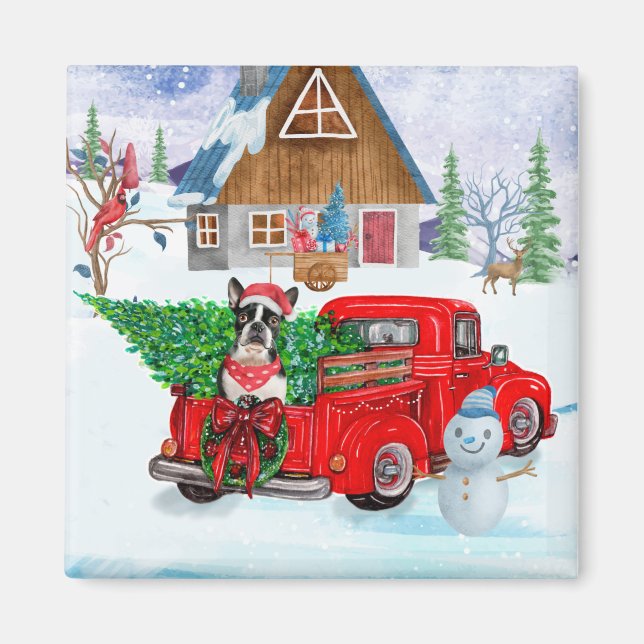 Boston Terrier hund i julleveransen Lastbil Magnet (Framsidan)