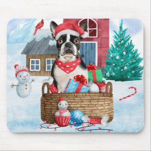 Boston Terrier Hund I snö Hund House Musmatta