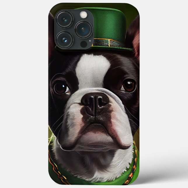 Boston Terrier hund i St. Patrick Dress (Baksida)