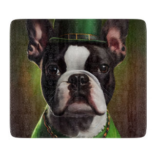 Boston Terrier hund i St. Patrick Dress