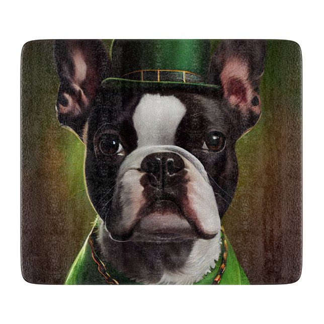 Boston Terrier hund i St. Patrick Dress (Framsidan)