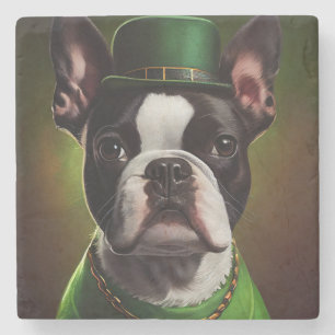 Boston Terrier hund i St. Patrick's Day dräkt Stenunderlägg