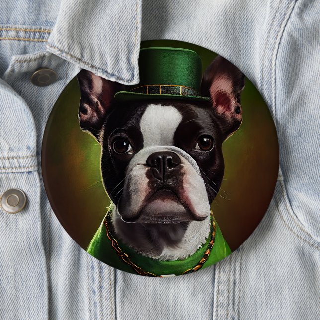 Boston Terrier hund i St. Patrick's Day klänning Knapp (In Situ)