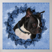 Boston Terrier Hund In Blommigt WAN