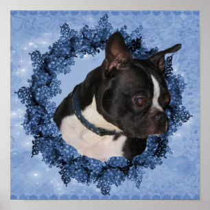 Boston Terrier Hund In Blommigt WAN Poster