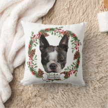Boston Terrier hund