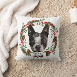 Boston Terrier hund Kudde