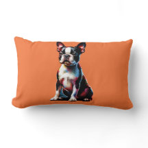 Boston Terrier Hund