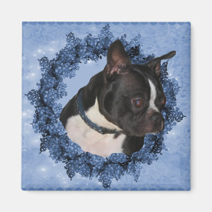 Boston Terrier Hund Magnet