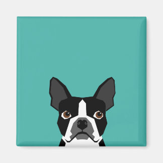 Boston Terrier hund magnet