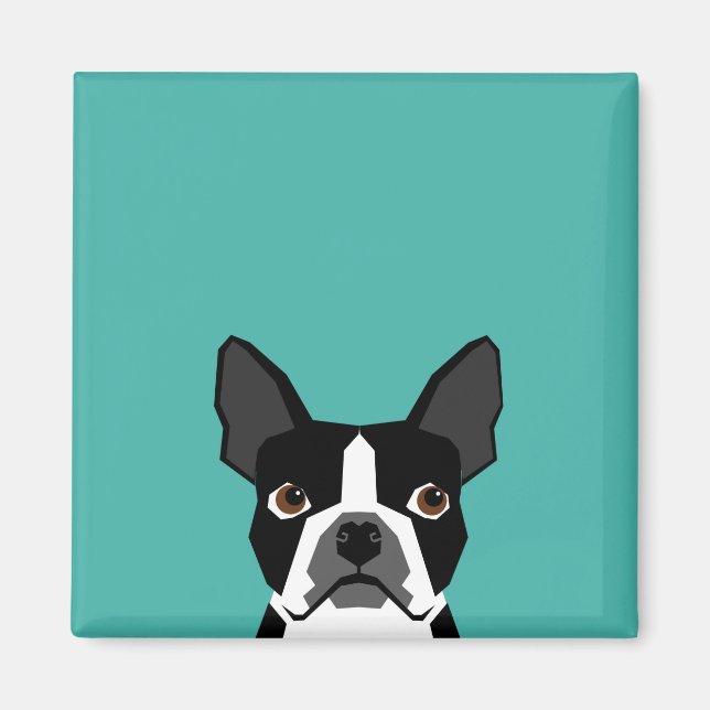 Boston Terrier hund magnet (Framsidan)