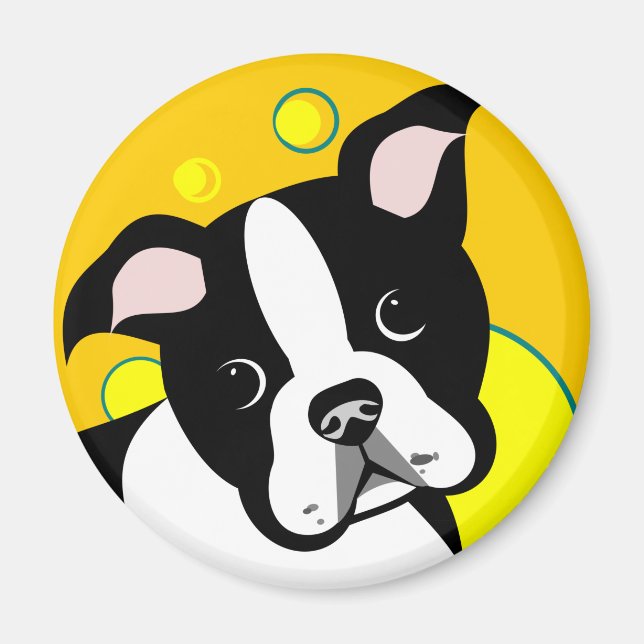 Boston Terrier Hund Magnet (Framsidan)