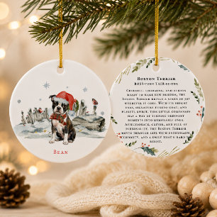 Boston Terrier Hund Monogram Julgransprydnad Keramik